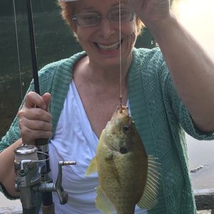 Meet your Posher, Colleen